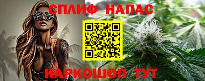 СК Абинск