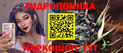 крисы Азнакаево