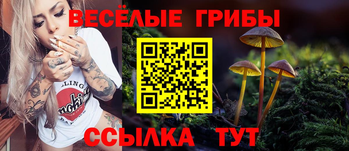 Орехово-Зуево  Галлюциногенные грибы Magic Shrooms  Вход с VPN 
