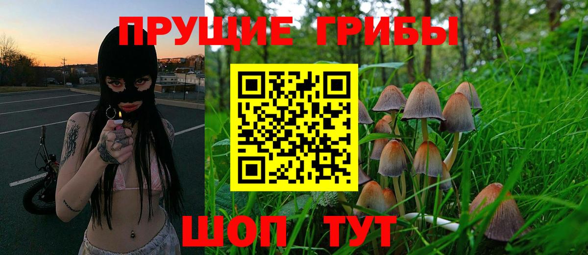 Галлюциногенные грибы мицелий Орехово-Зуево