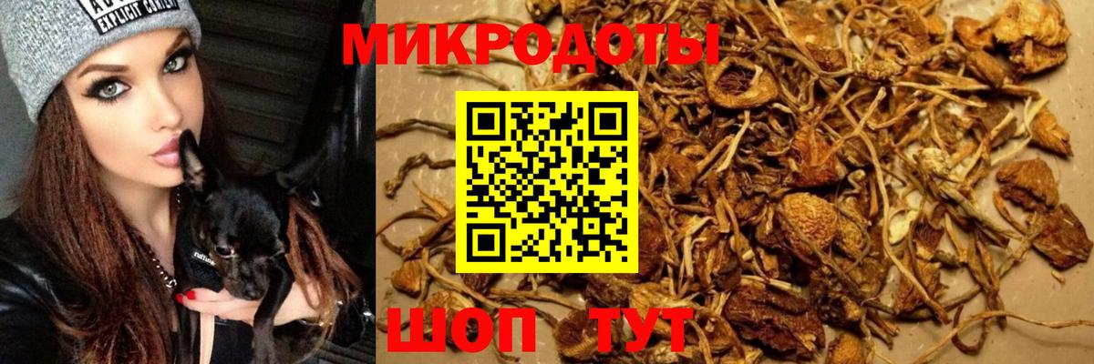 Орехово-Зуево  Галлюциногенные грибы Psilocybe  Вход с VPN 